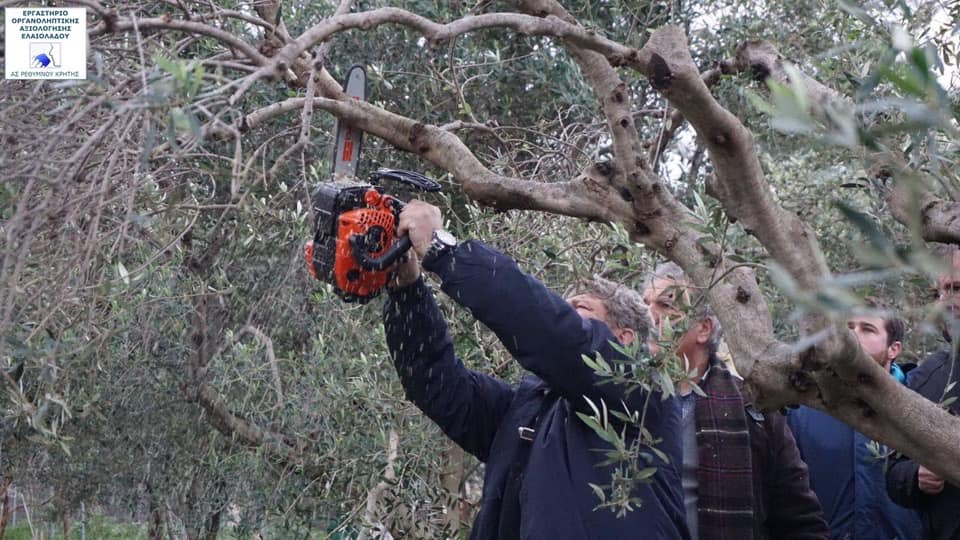 Σεμινάριο για την φυτοπροστασία, το κλάδεμα και την θρέψη της ελιάς. Ιανουάριος 2020 Σεμινάριο για την φυτοπροστασία, το κλάδεμα και την θρέψη της ελιάς. Ιανουάριος 2020