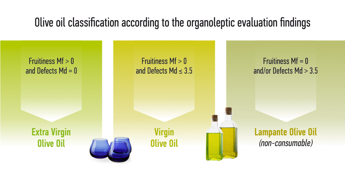 Olive Oil Quality & Organoleptic Evaluation